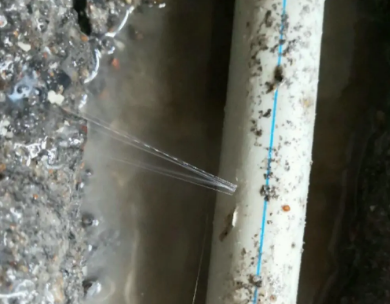 石嘴山市测漏水哪家好