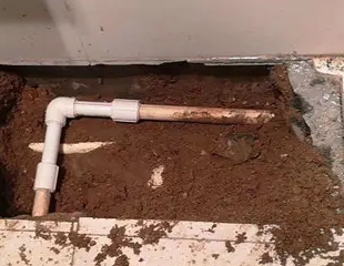 石嘴山市测漏水哪家好