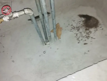 石嘴山市卫生间测漏水价格明细