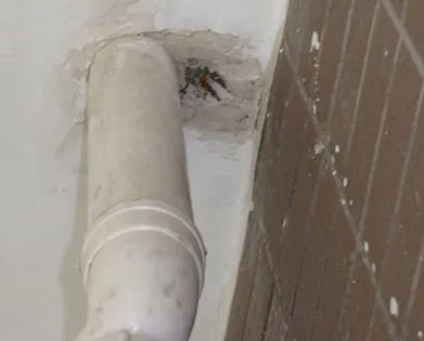 石嘴山市漏水检测哪家好